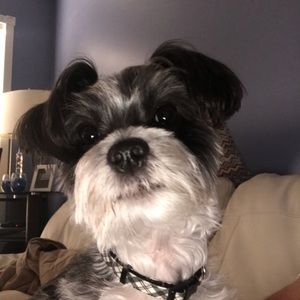 Meet your Posher, Lonnie